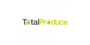 Internal Auditor Internal Auditor